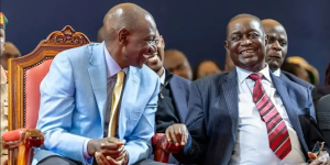 Oburu Oginga Resigns as Senate Energy Committee Chairperson
