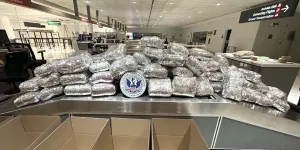 Two Travelers Caught With Nearly 850 Pounds of Miraa at BWI Airport