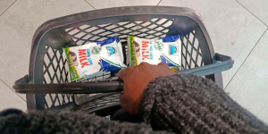 Kenya Faces Milk Shortage as Drought Cuts Dairy Production