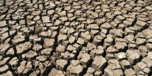 Record Dry Conditions Fuel Severe Drought in Wales, Sparking Global Water Concerns