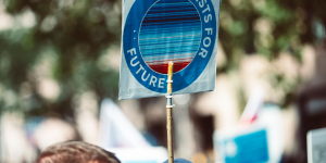Future Generations at Risk as Global Tree Planting Efforts Lag Behind Targets