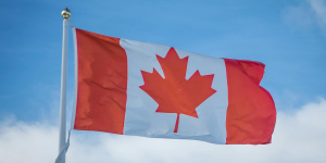 Kenyan Professionals in Canada Respond to Recent Immigration Trends and Challenges