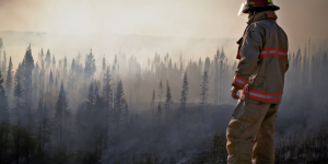 Trump Criticizes Canada Over Wildfires Affecting U.S. Air Quality