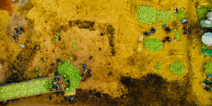 Rising Food Costs Fuel Global Concerns Over Inflation and Its Impact on Economies