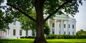 White House Convenes Tech Giants to Tackle AI Safety Amid Cybersecurity Concerns
