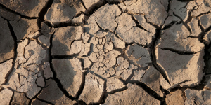 COP30: Global Climate Summit Faces Scrutiny Amid Key Leaders' Absence