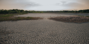 Europe's Record Heatwave Exposes Severe Climate Vulnerabilities