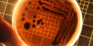 AI-Engineered Viruses Pose New Challenges for Global Security
