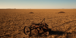 Sudan's Farmers Ready to Return Amidst Devastated Economy