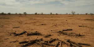 17-year-old killed as suspected bandits ambush firewood collectors in Leparua, Isiolo