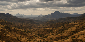 Ethiopia: In-Depth Analysis - Armed Groups' Alignment Stretches Across Ethiopia - Ola Demands Fano Distance Itself From Wollega Faction. Why Both Matter